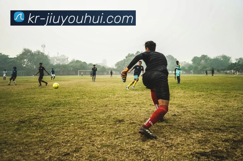 九游会官网平台生态图